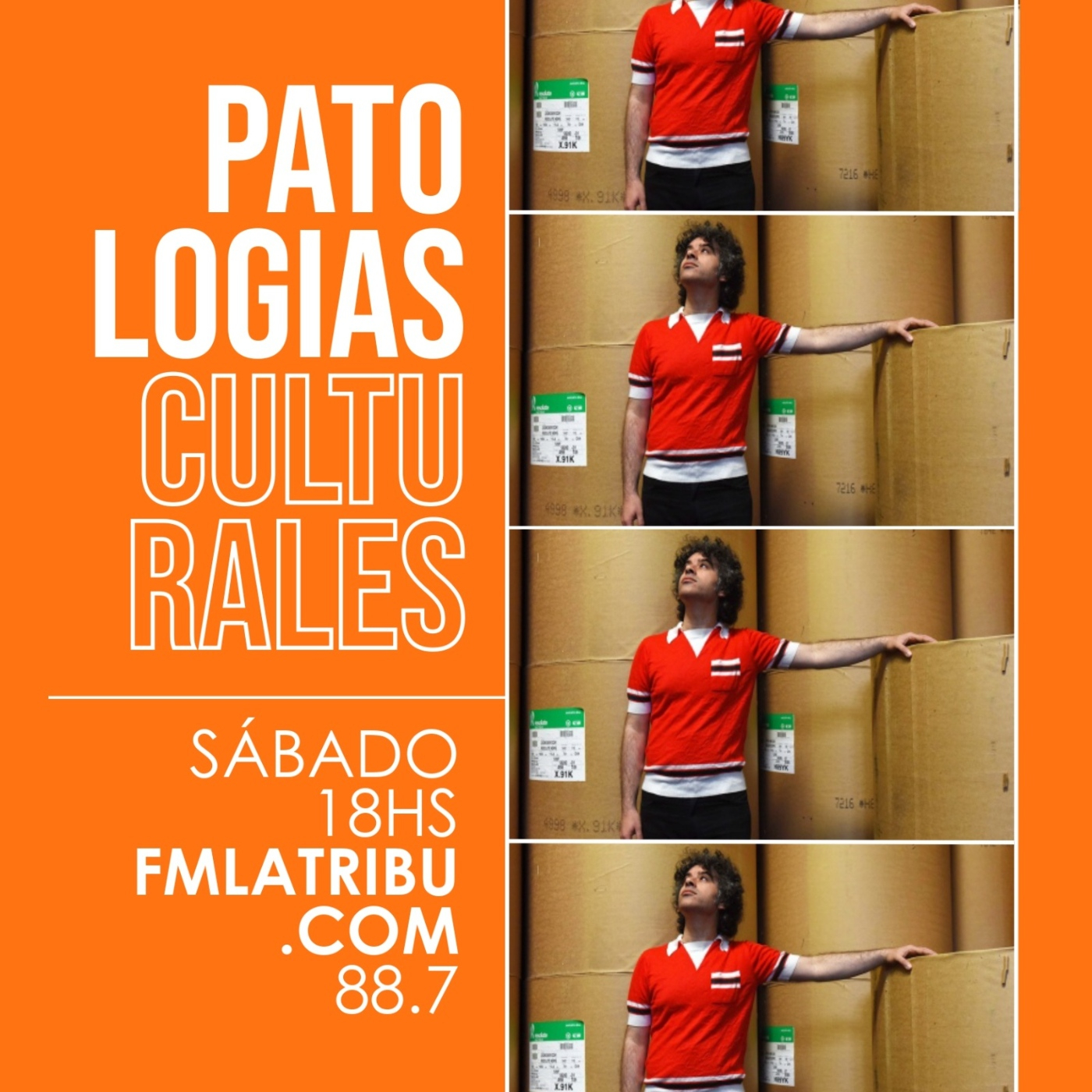 Patologías Culturales