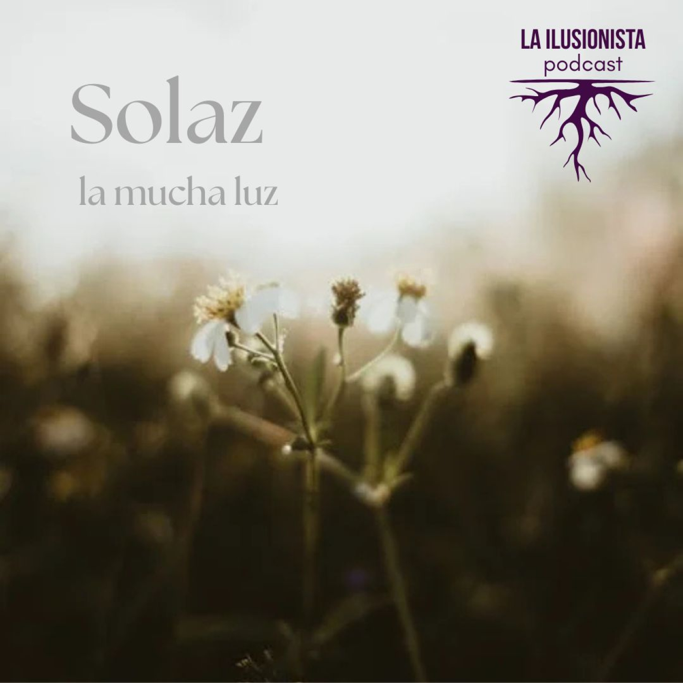 La Ilusionista