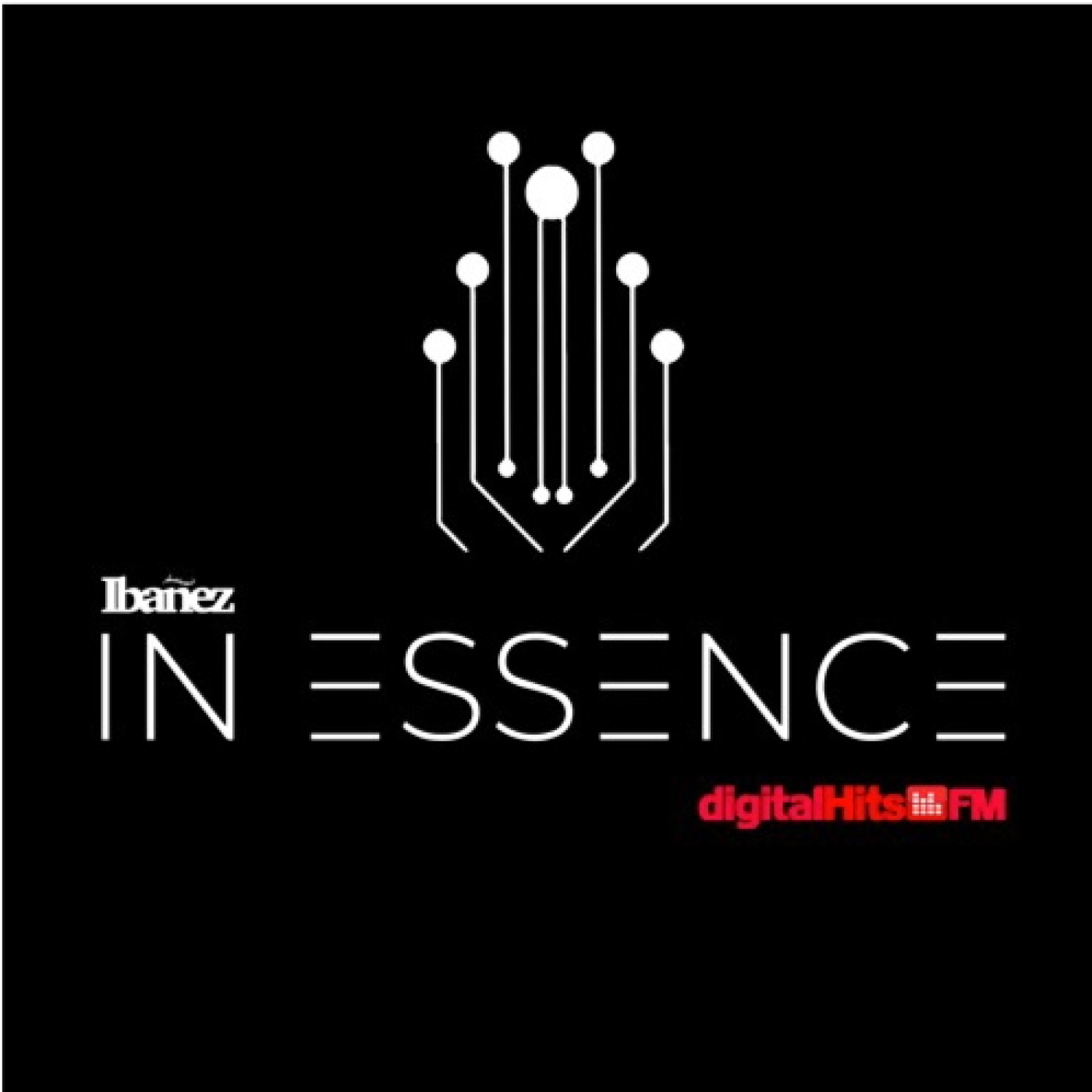 Ibanez In Essence