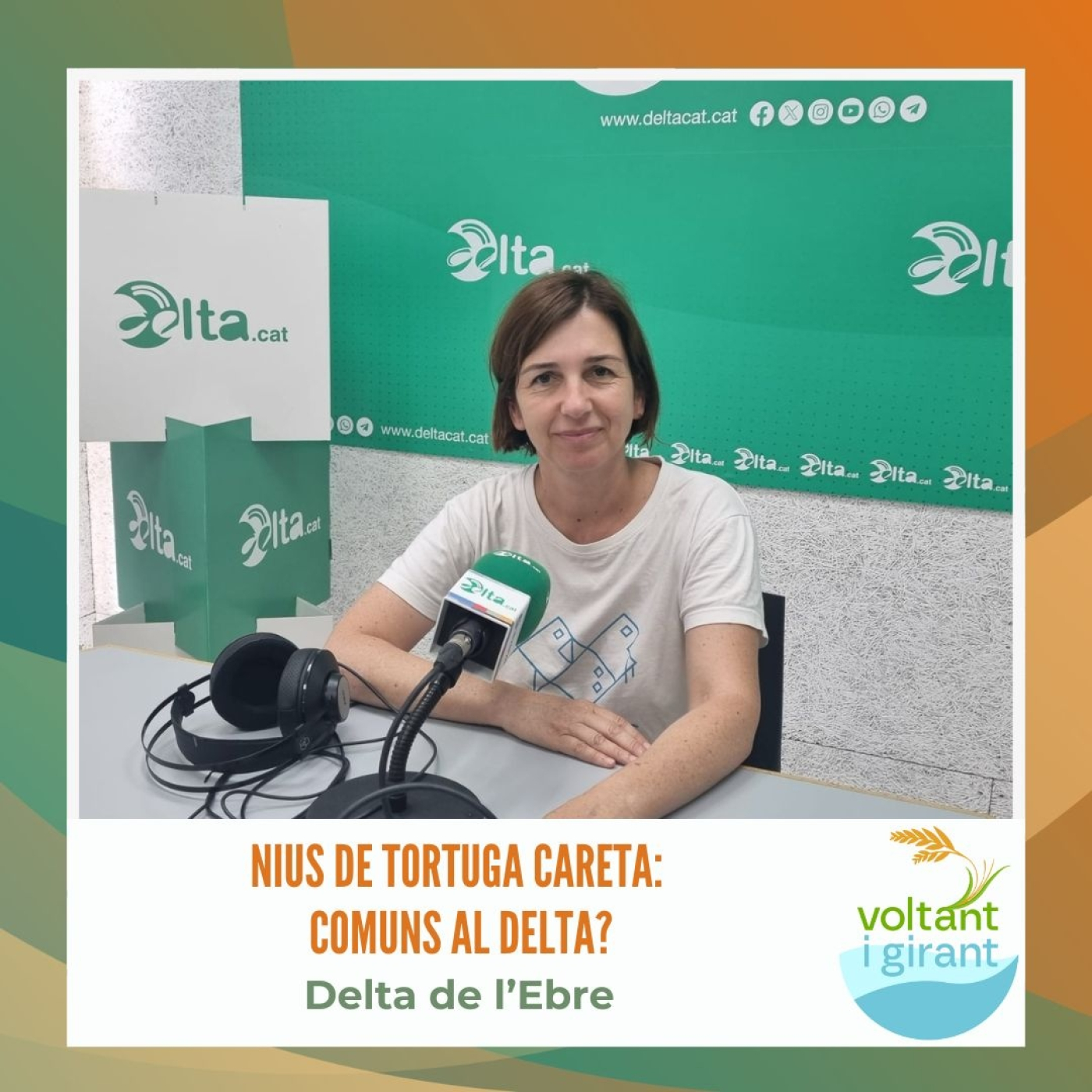 Nius de tortuga careta: comuns al Delta? episode artwork