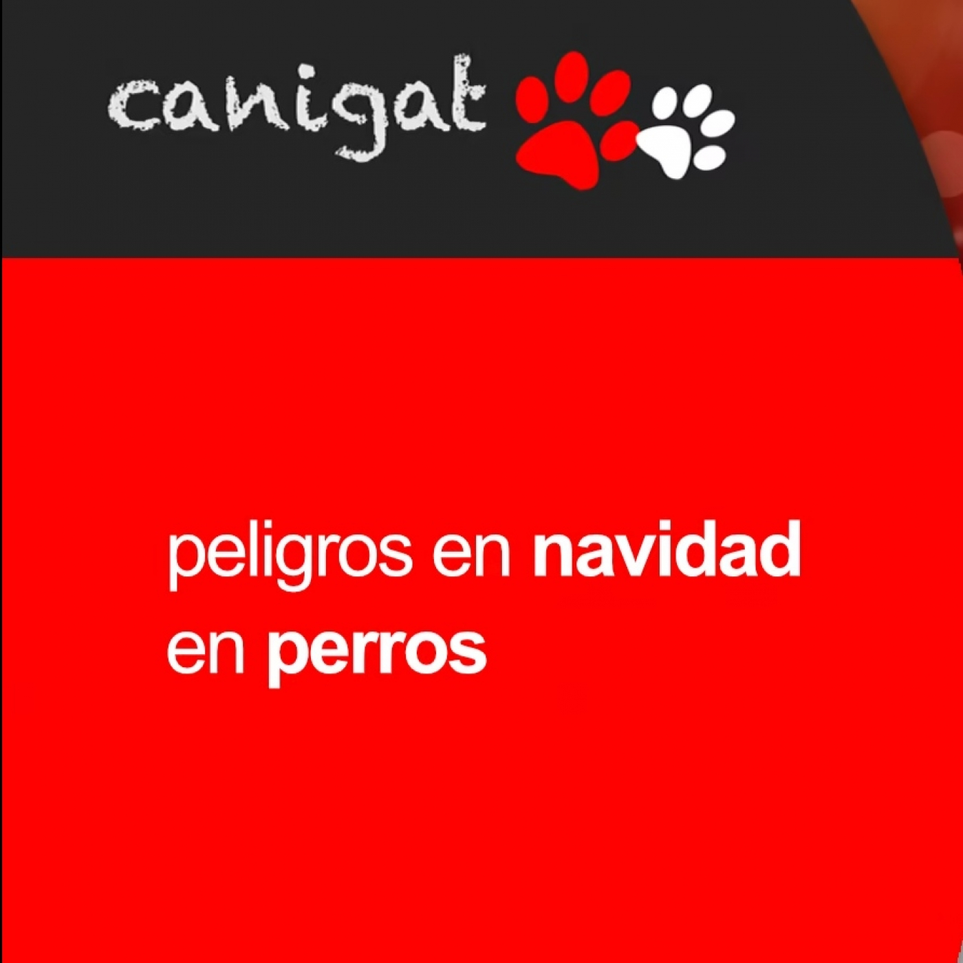 Consejos veterinarios de perros y gatos by canigat