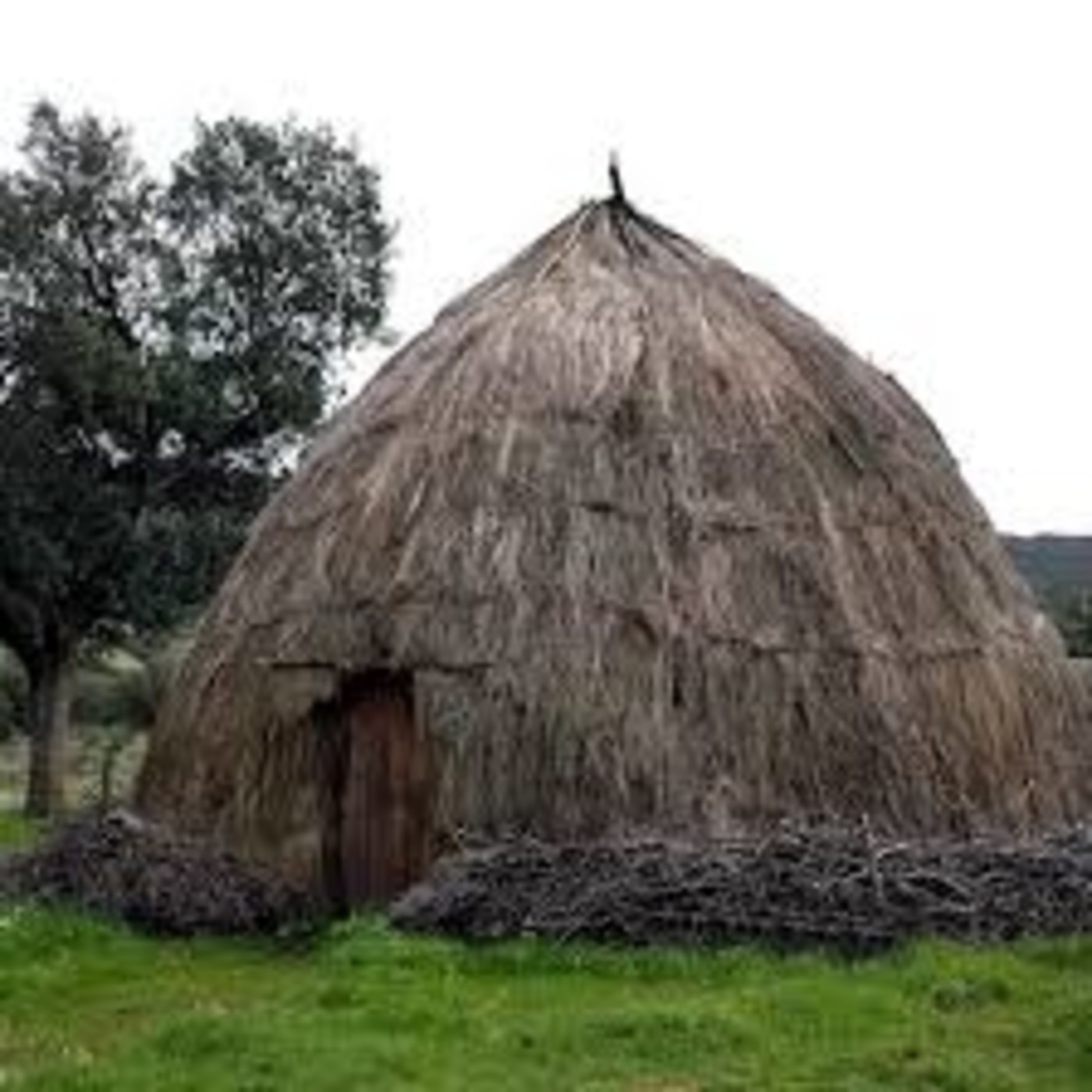 La Taponera