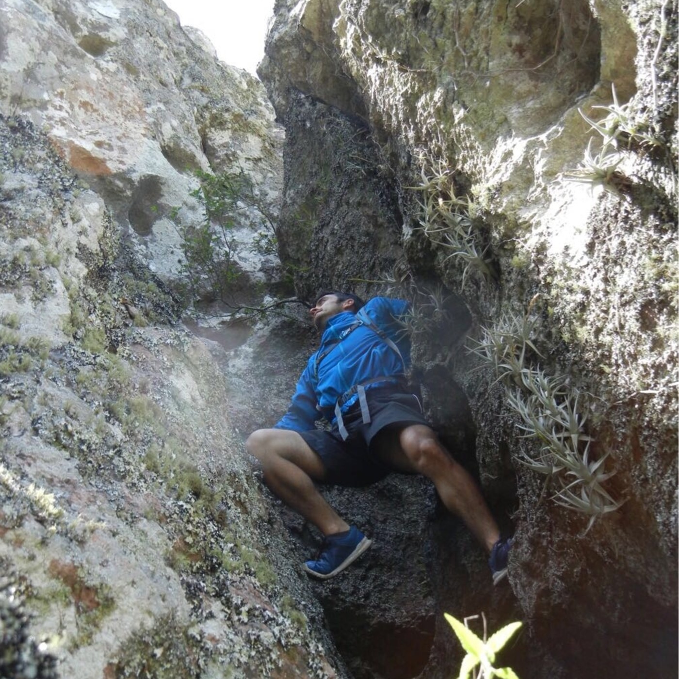 HOJASYPIEDRAS
