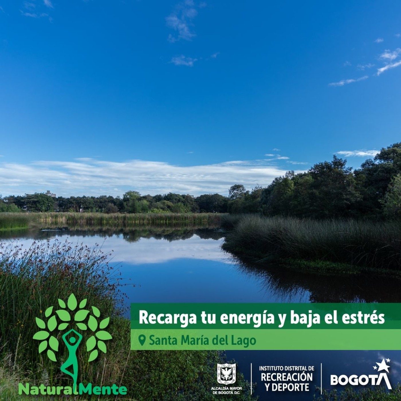 Recarga tu energía y baja el estrés