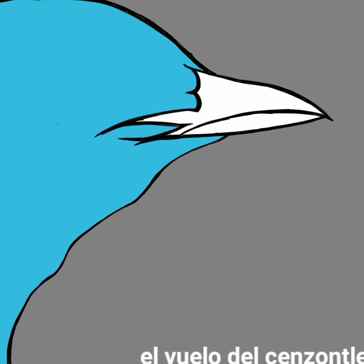 El Vuelo del Cenzontle