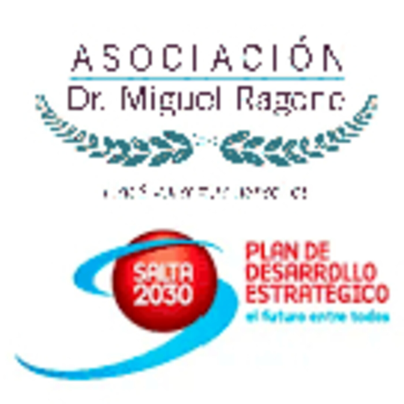 CESP Consejo Economico Social de Salta