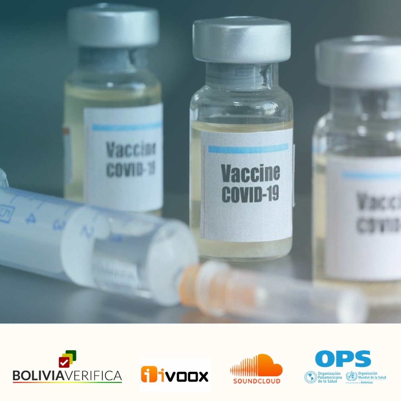Bolivia Verifica