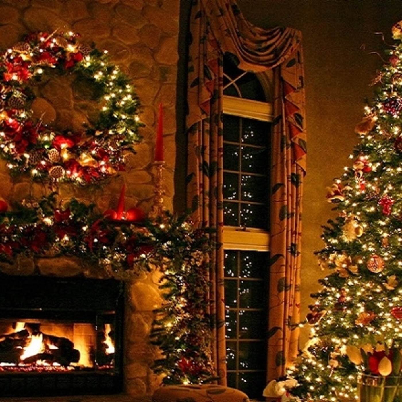 Jose Cristóbal Núñez Valenzuela