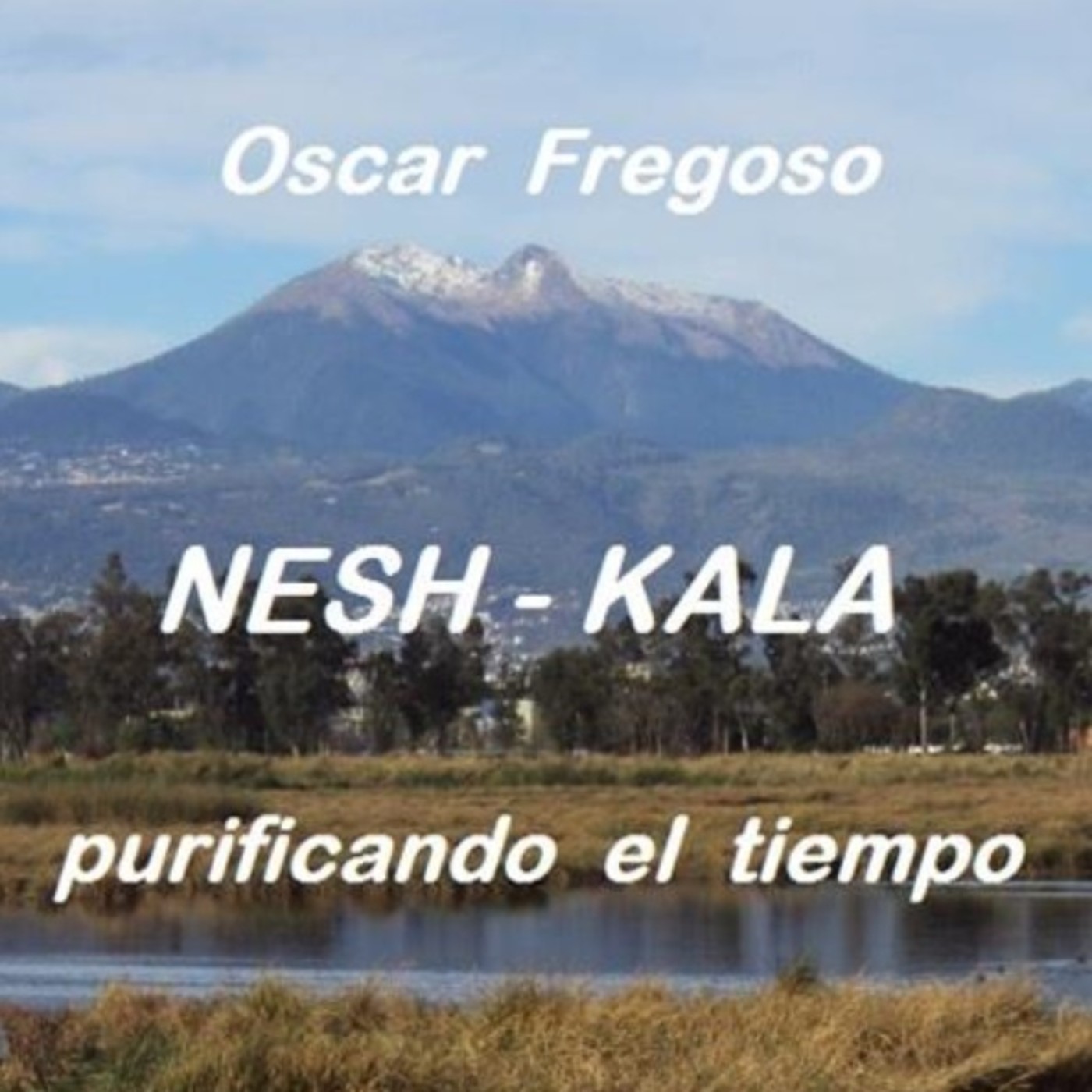 Audios de Oscar Ignacio Fregoso Méndez