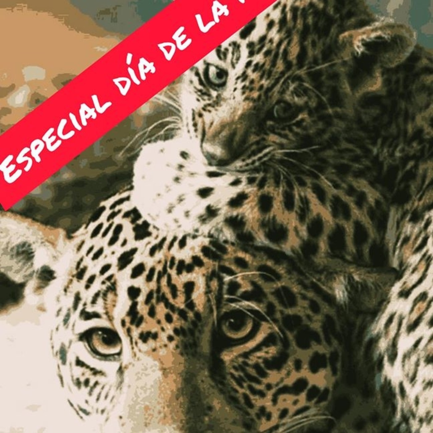 El Otorongo
