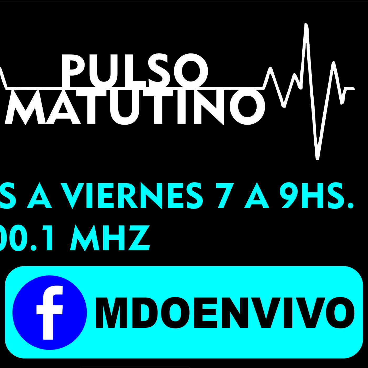 PULSO MATUTINO