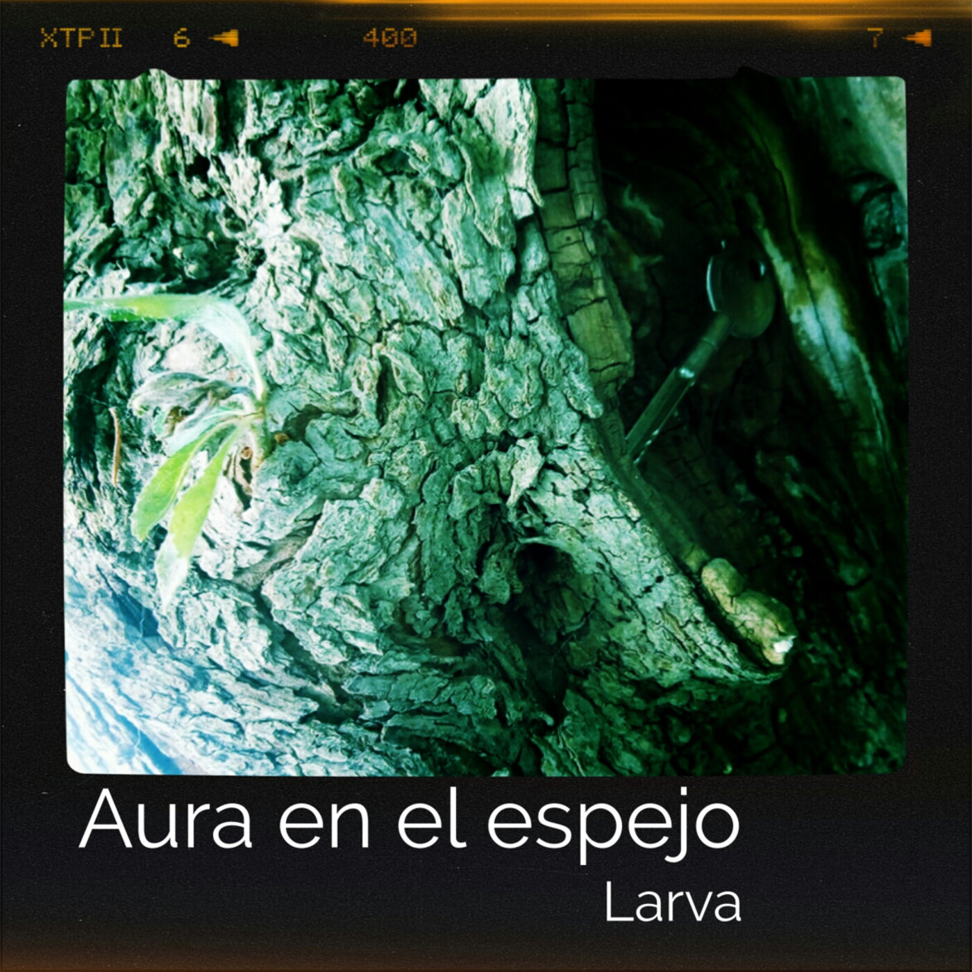 Música para leer