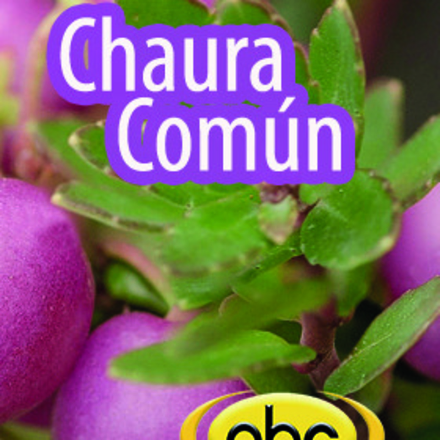 El Angel de tu Salud - CHAURA COMÚN I episode artwork