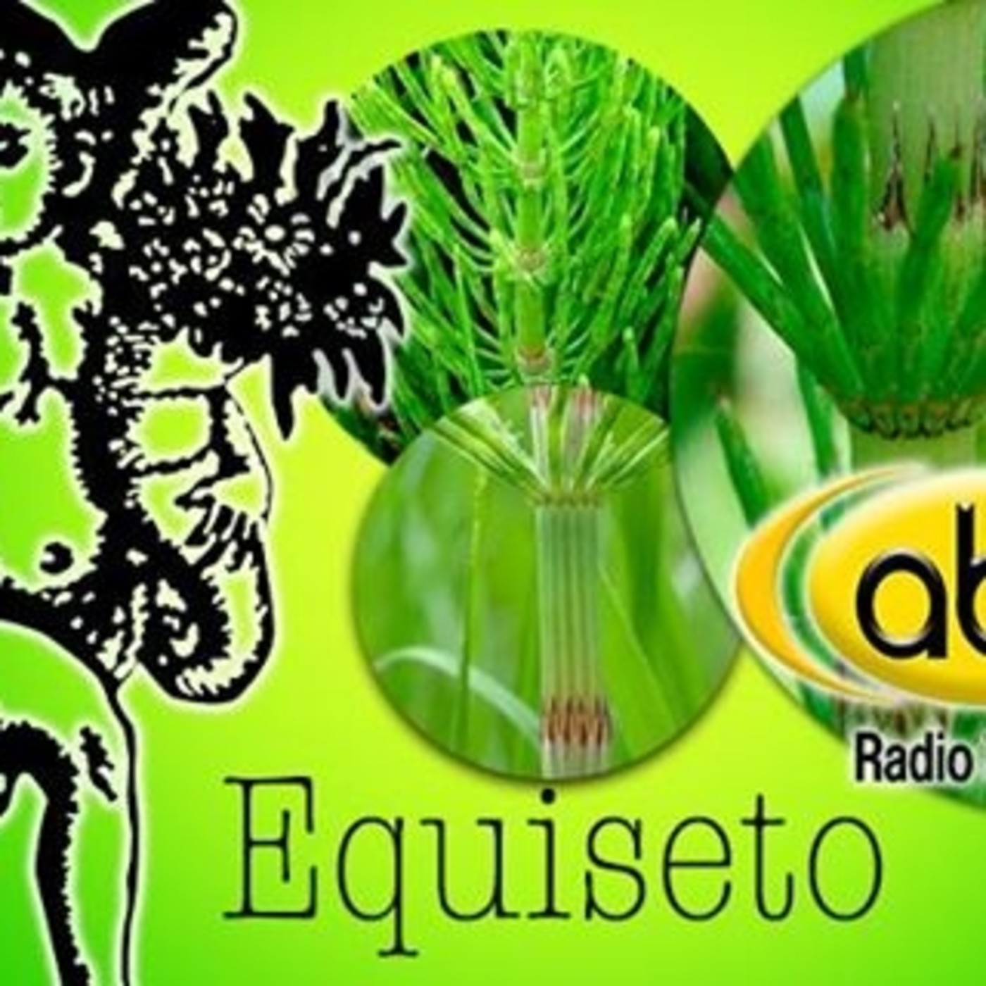 El Ángel de tu Salud - EQUISETO episode artwork