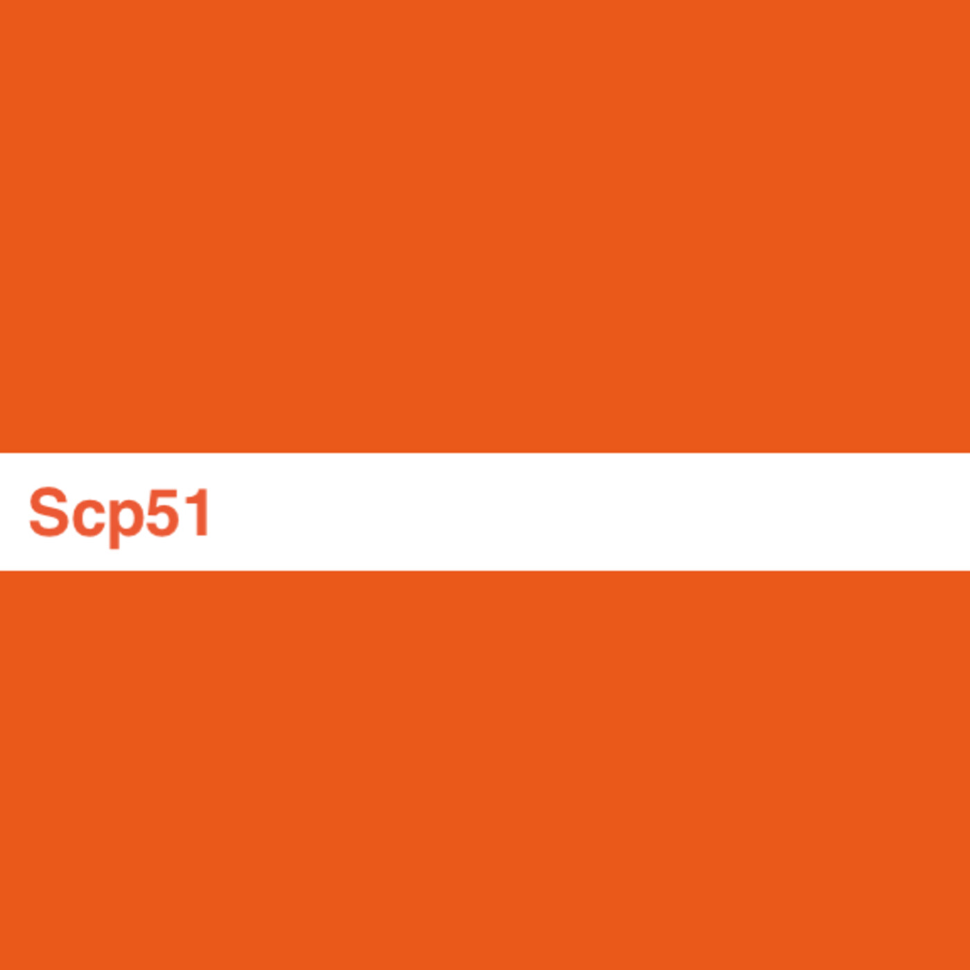 Sonidos Con Propuesta (SCP).
