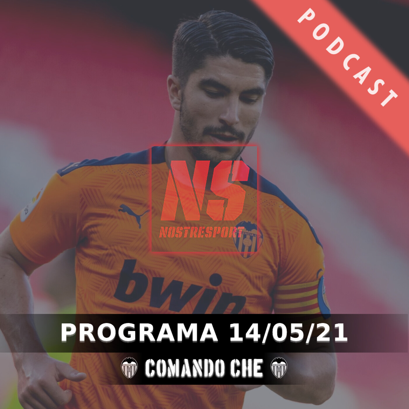 Comando Che