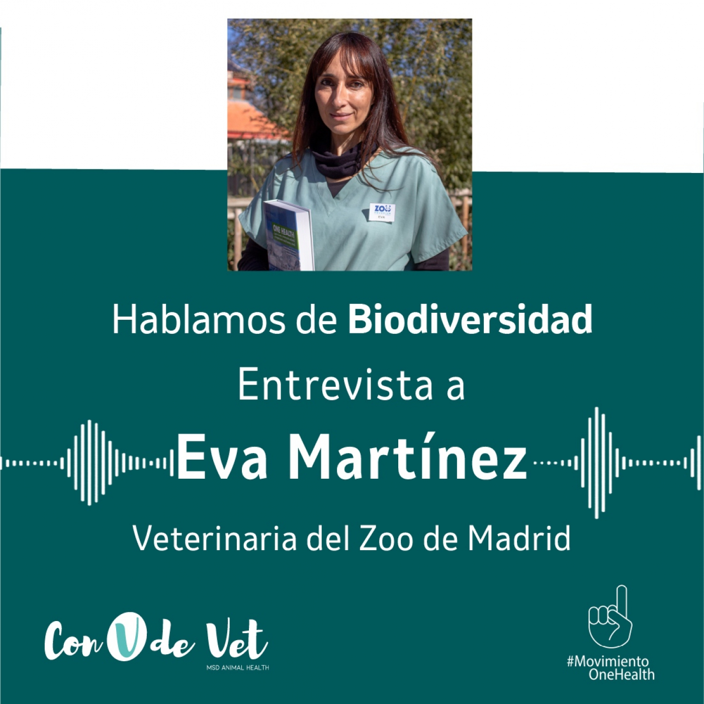 Con V de Vet Radio