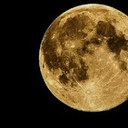 Perpetuum Mobile. Episodio 34. Felices sueños