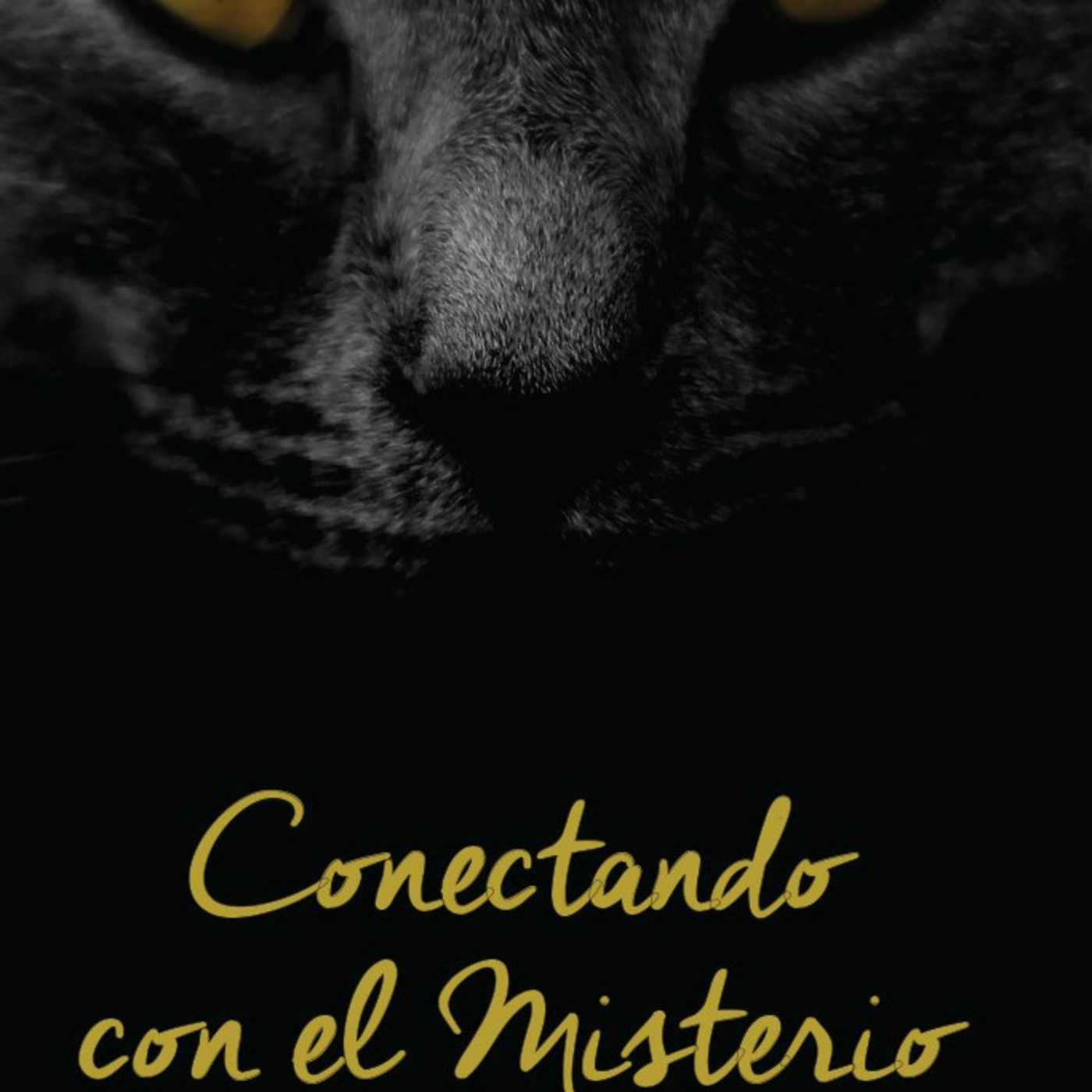 Conectando con el Misterio