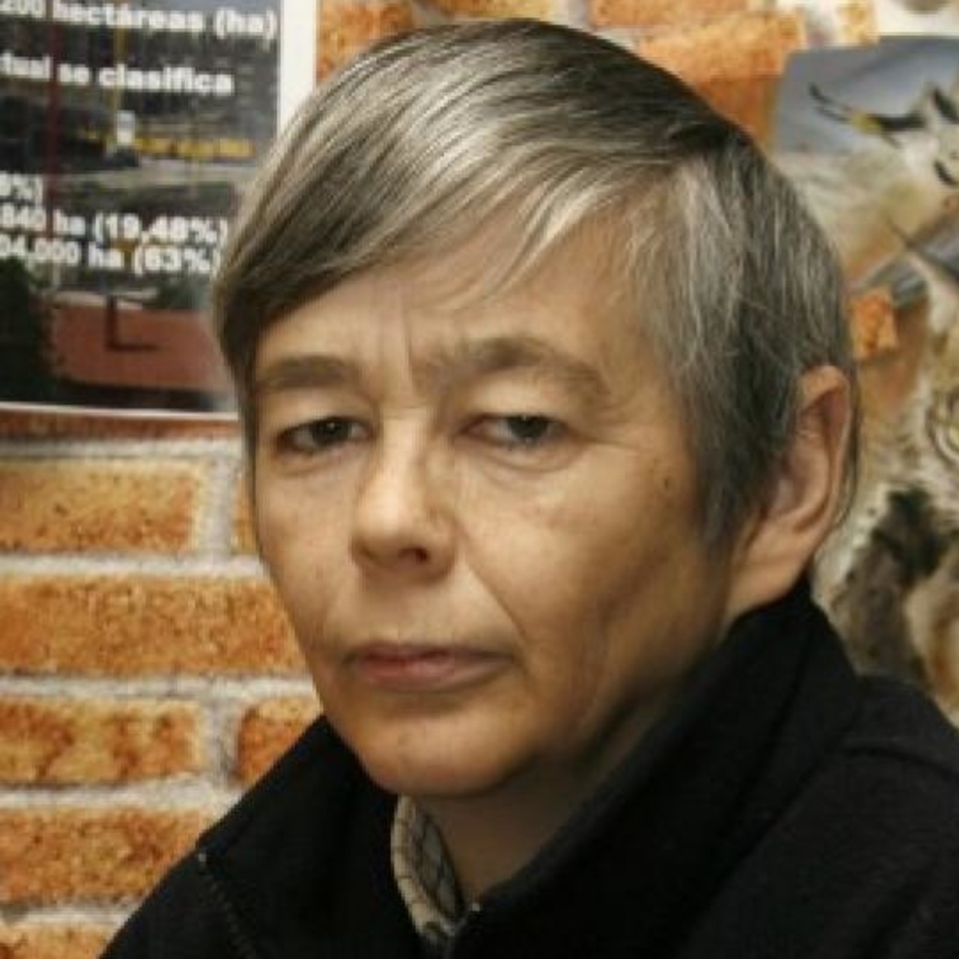 Podcast de MARÍA DEL CARMEN RAMÓN