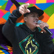 embed image