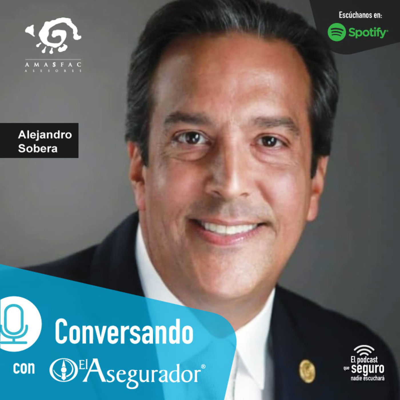 El Asegurador