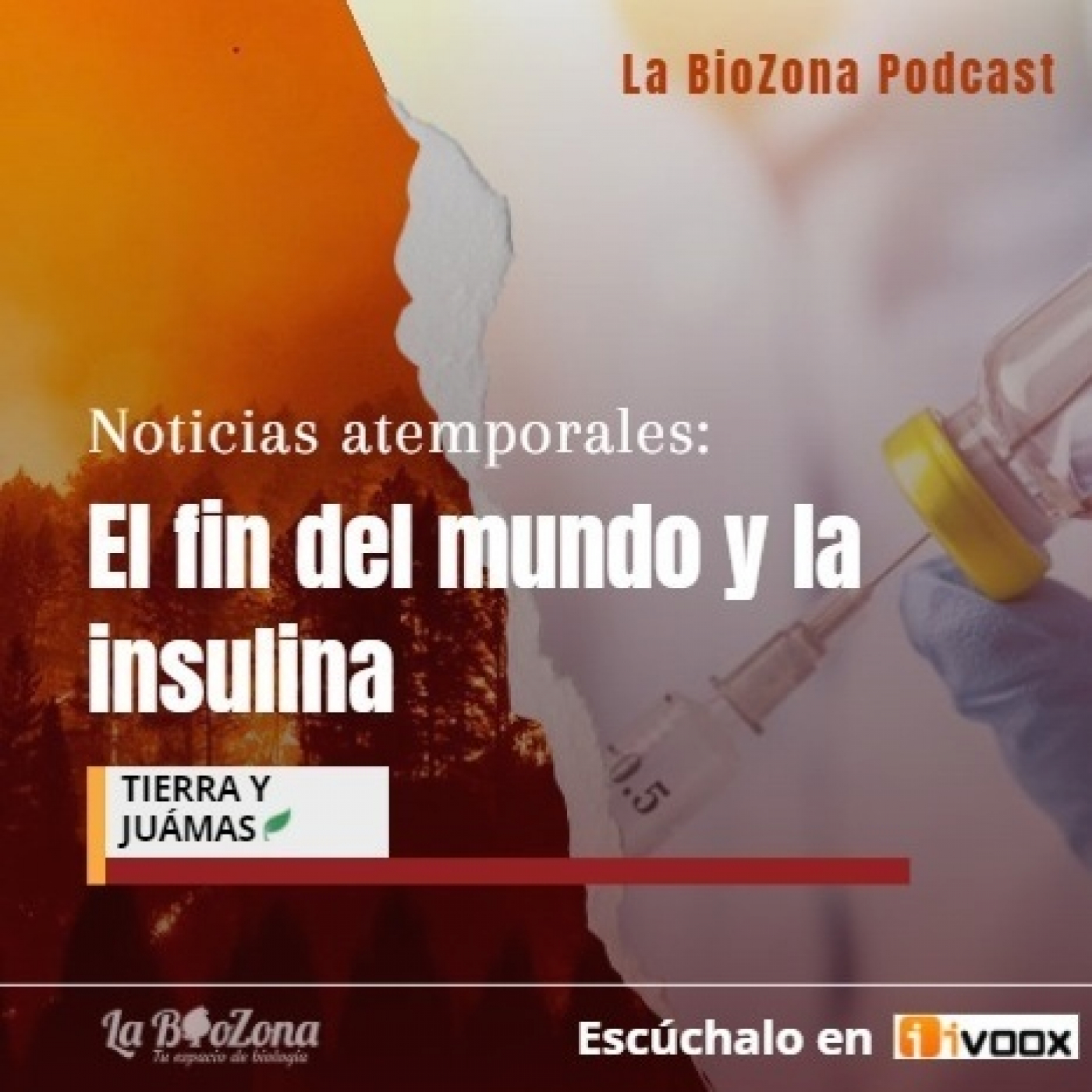 Noticias atemporales. El fin del mundo y la insulina - Episodio exclusivo para mecenas episode artwork