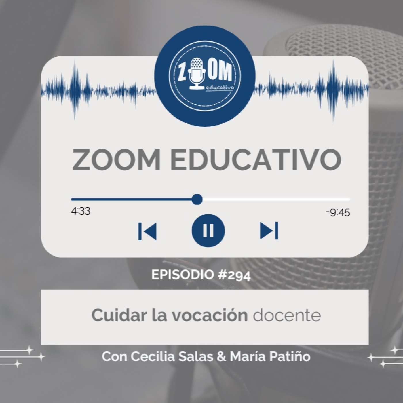 Zoom Educativo