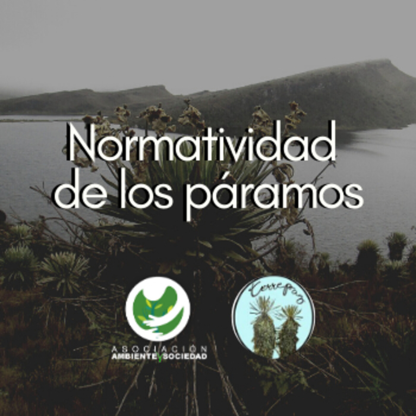Asociación Ambiente y Sociedad