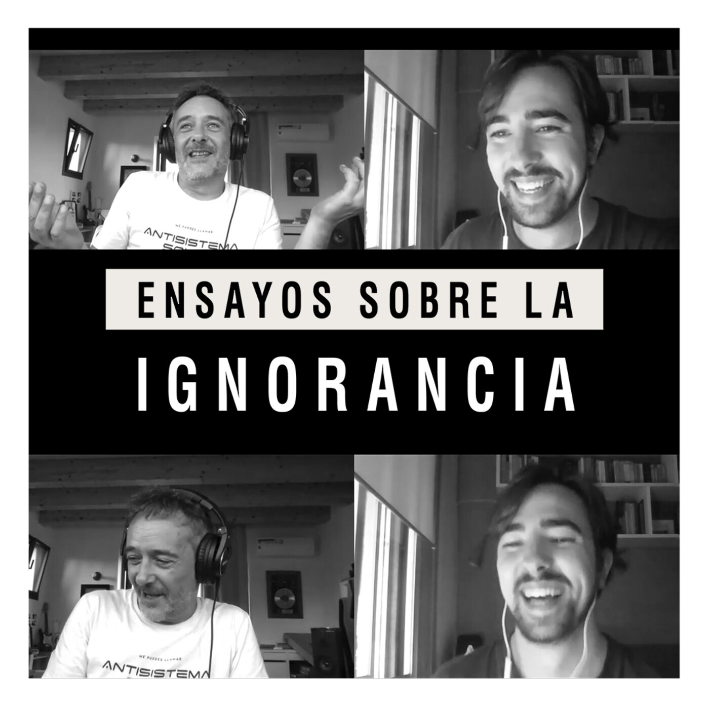 Ensayos sobre la ignorancia