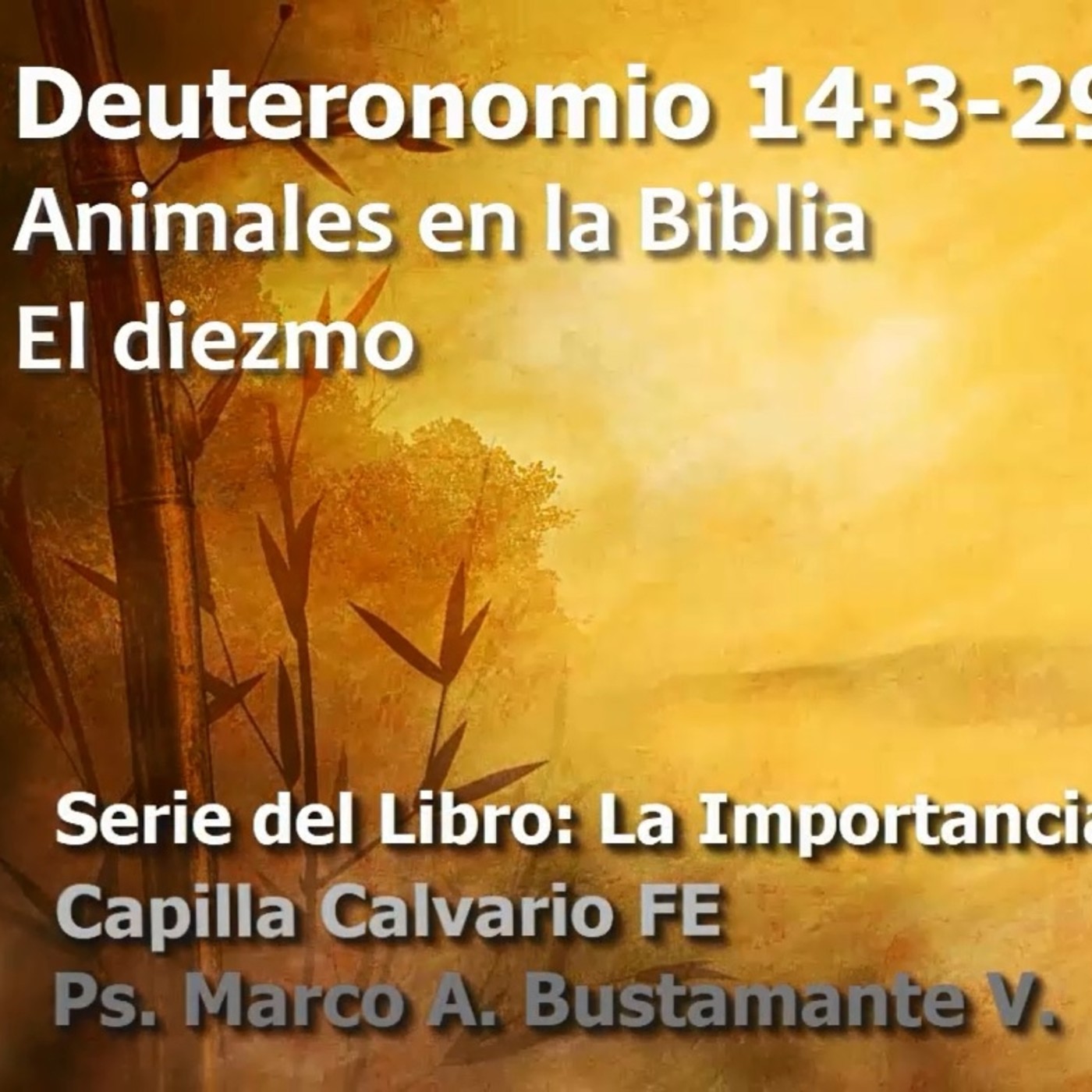 Deuteronomio - La importancia de la obediencia