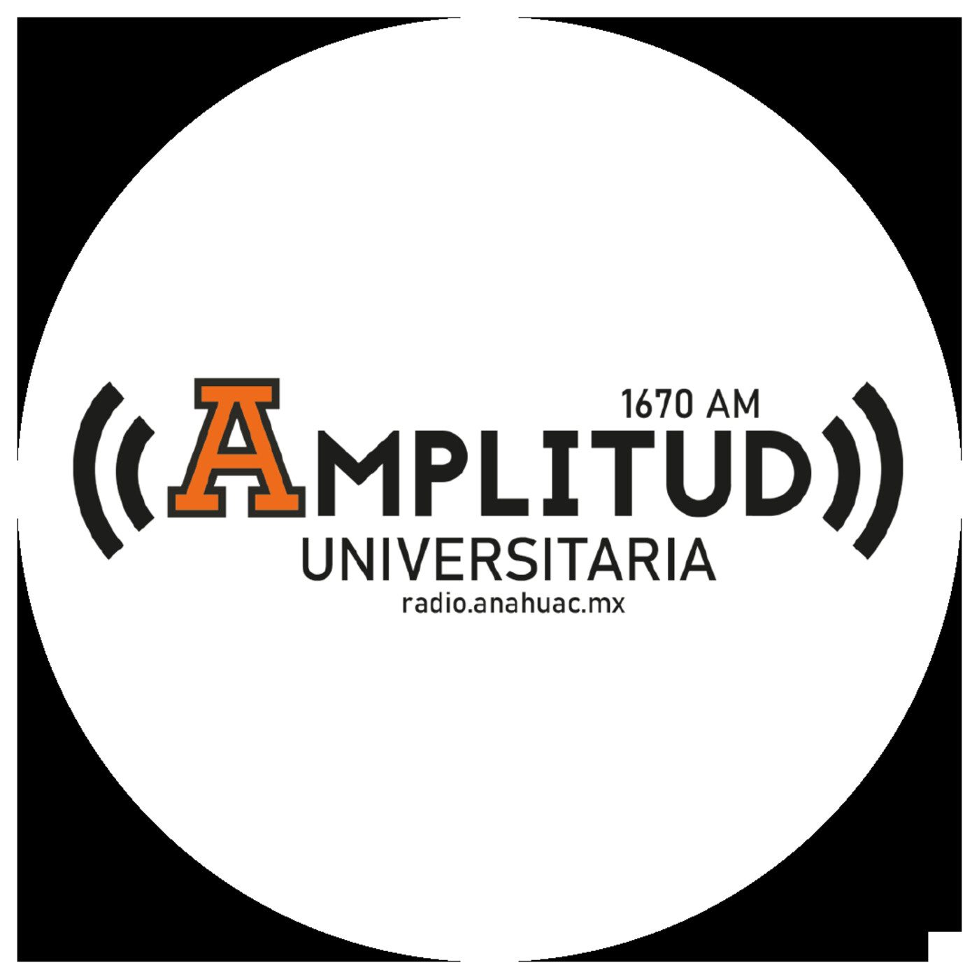 Amplitud Universitaria