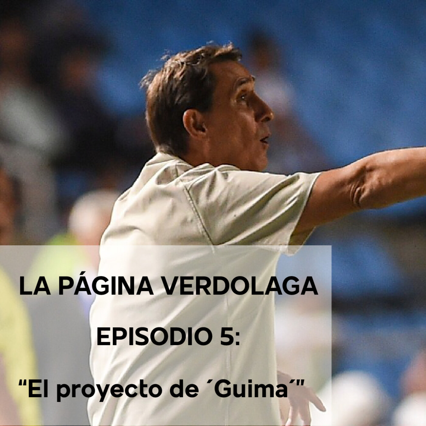 La Página Verdolaga - Podcast