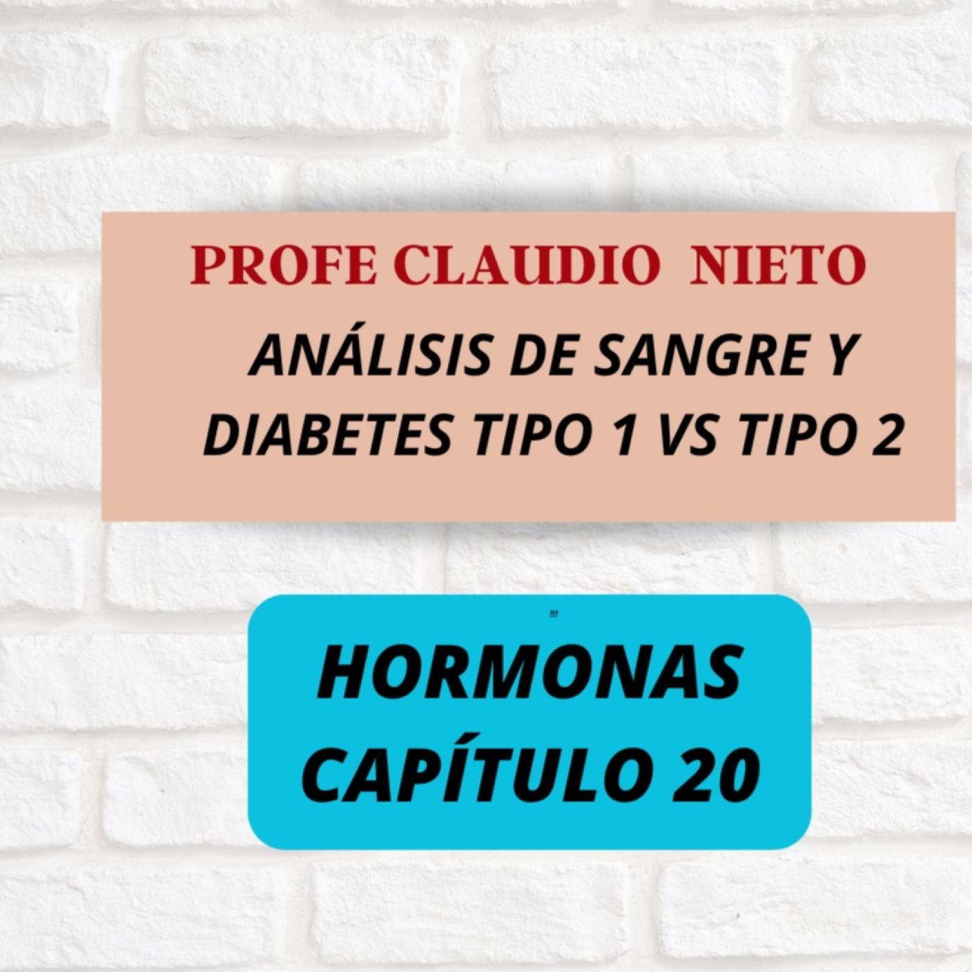 267. INTERPRETANDO tu analítica para diferenciar DIABETES TIPO 1 vs TIPO 2 #HORMONAS 20