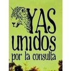 Defensa del YASUNÍ en el Ecuador