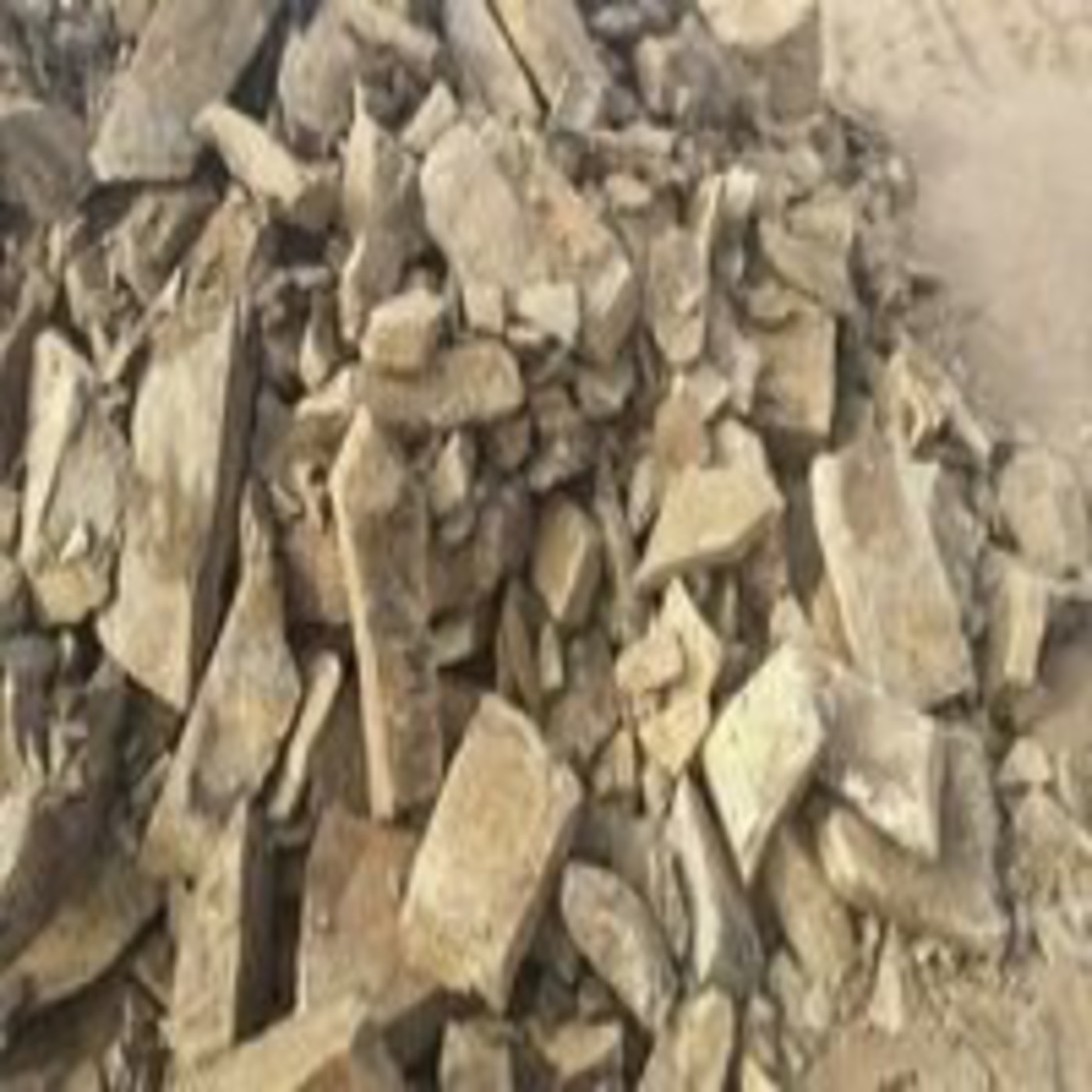 periodismo diferente con Calixto Gonzalez