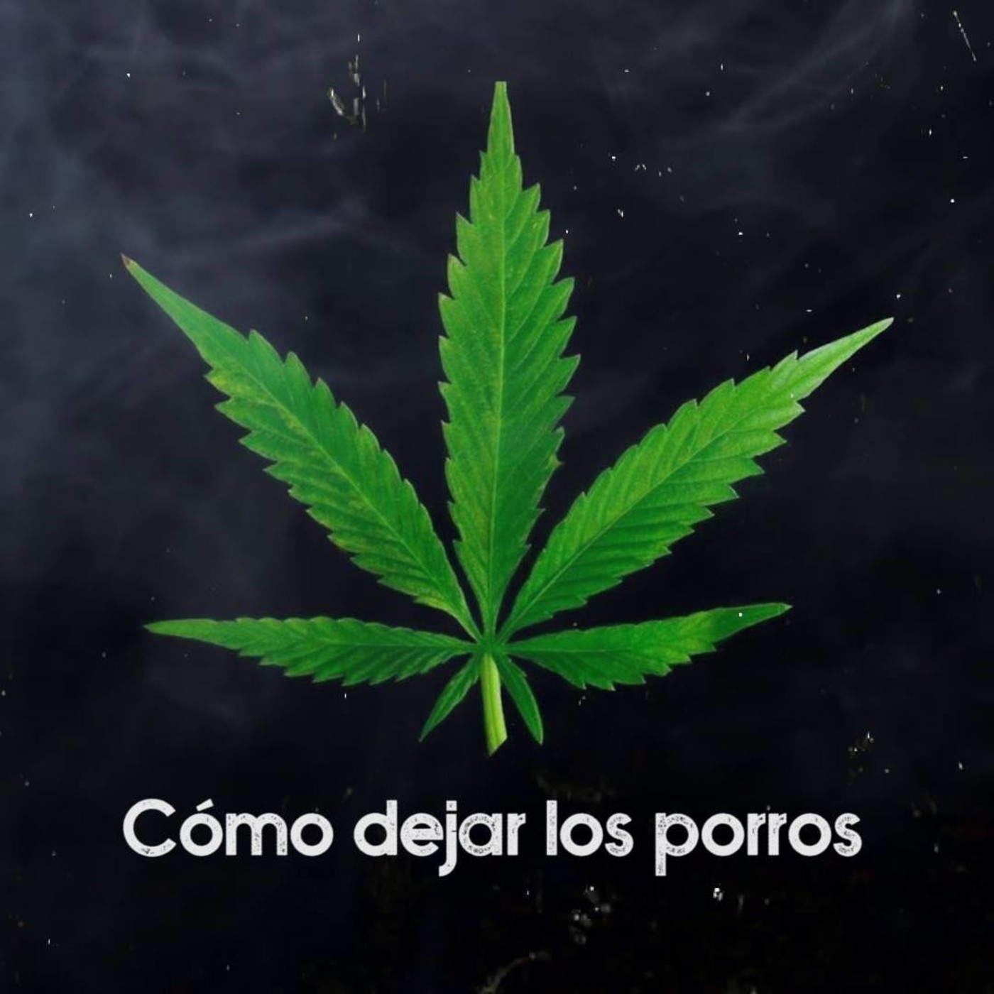 Cómo dejar los porros