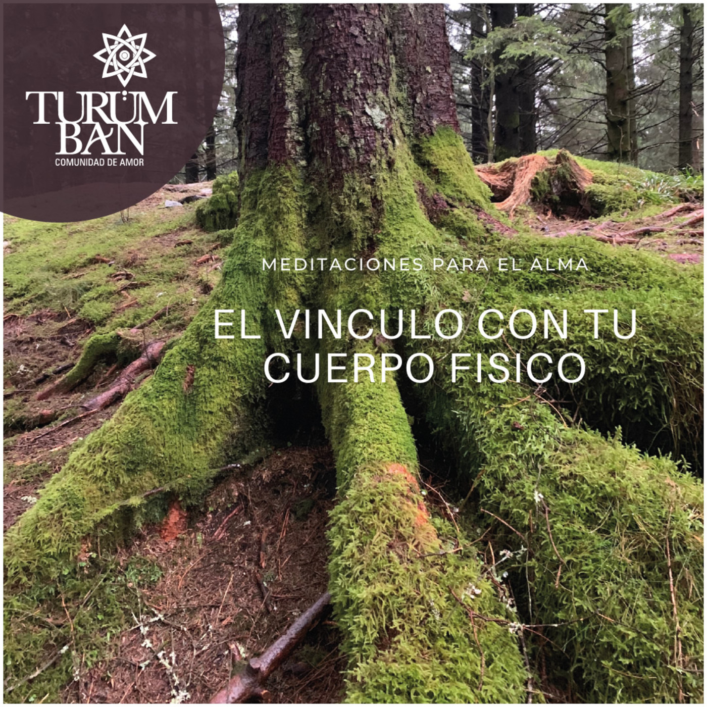 Meditaciones para el Alma