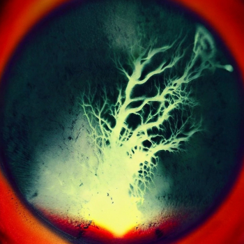 embed image