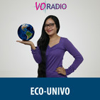 Programa 8 - 2017