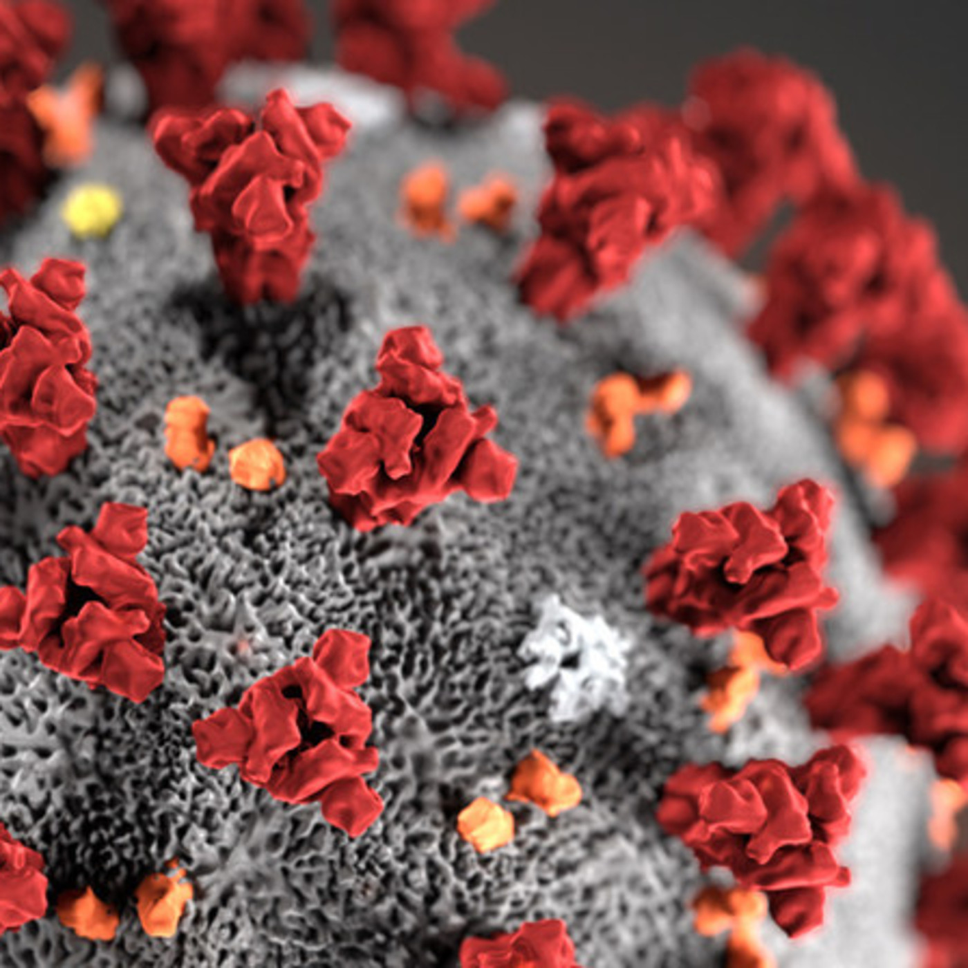 Pacientes con diabetes frente al COVID-19