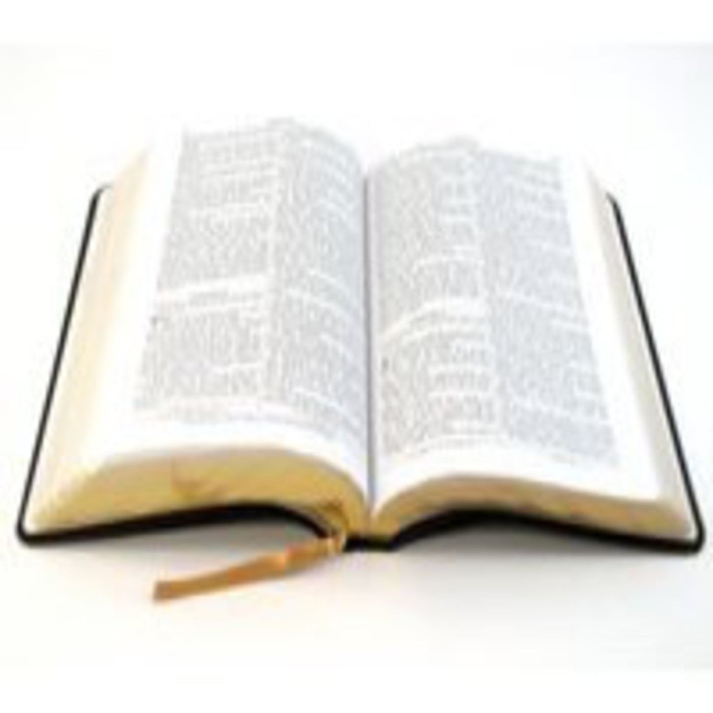 Reflexiones (2): 10 Verdades bíblicas sobre las mujeres