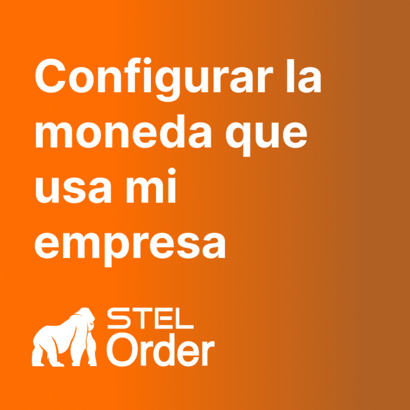 Ayuda y Soporte STEL Order