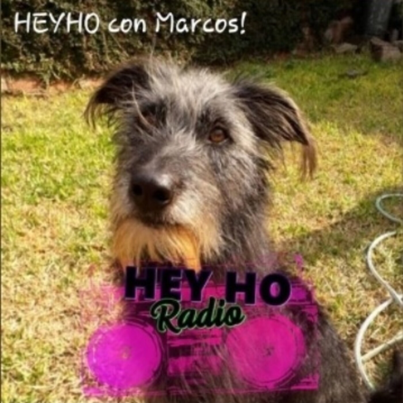 HeyHoRadio