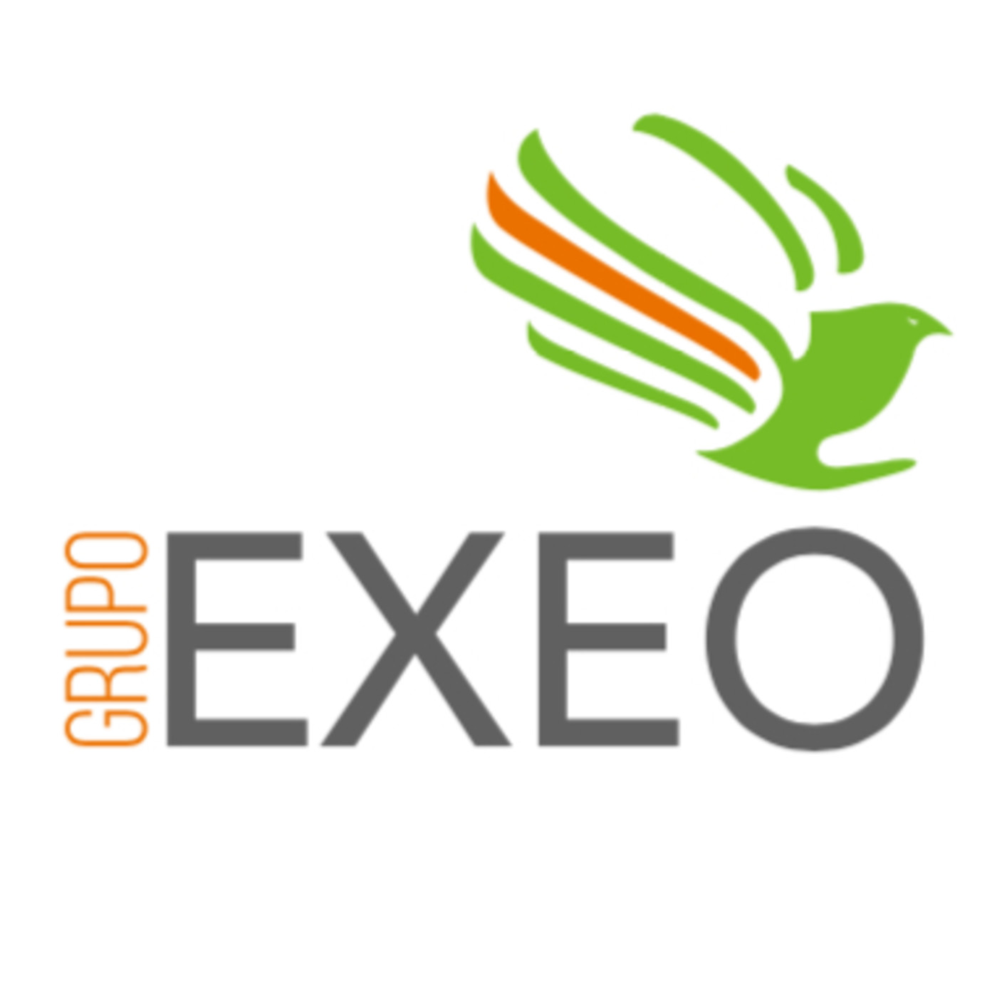 GRUPO EXEO
