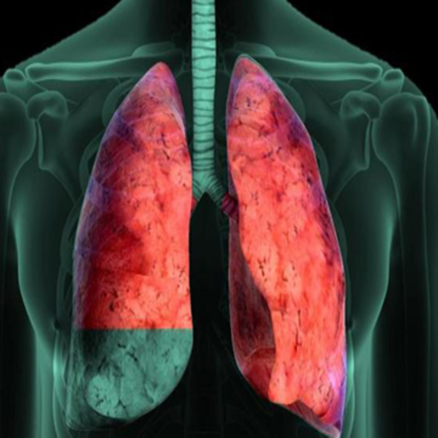 Diagnosticofisico UNASA