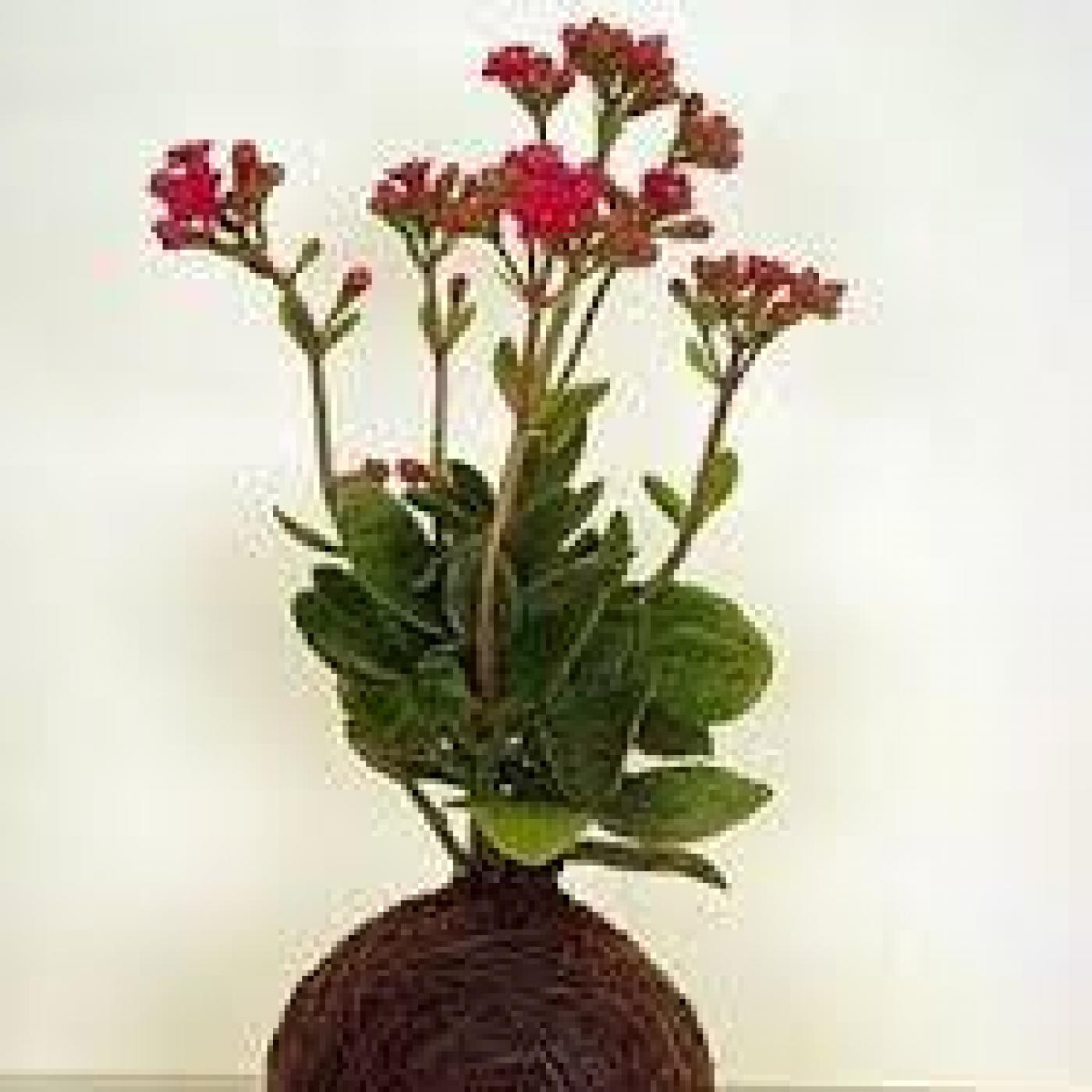 Podcast Despierta Capilla