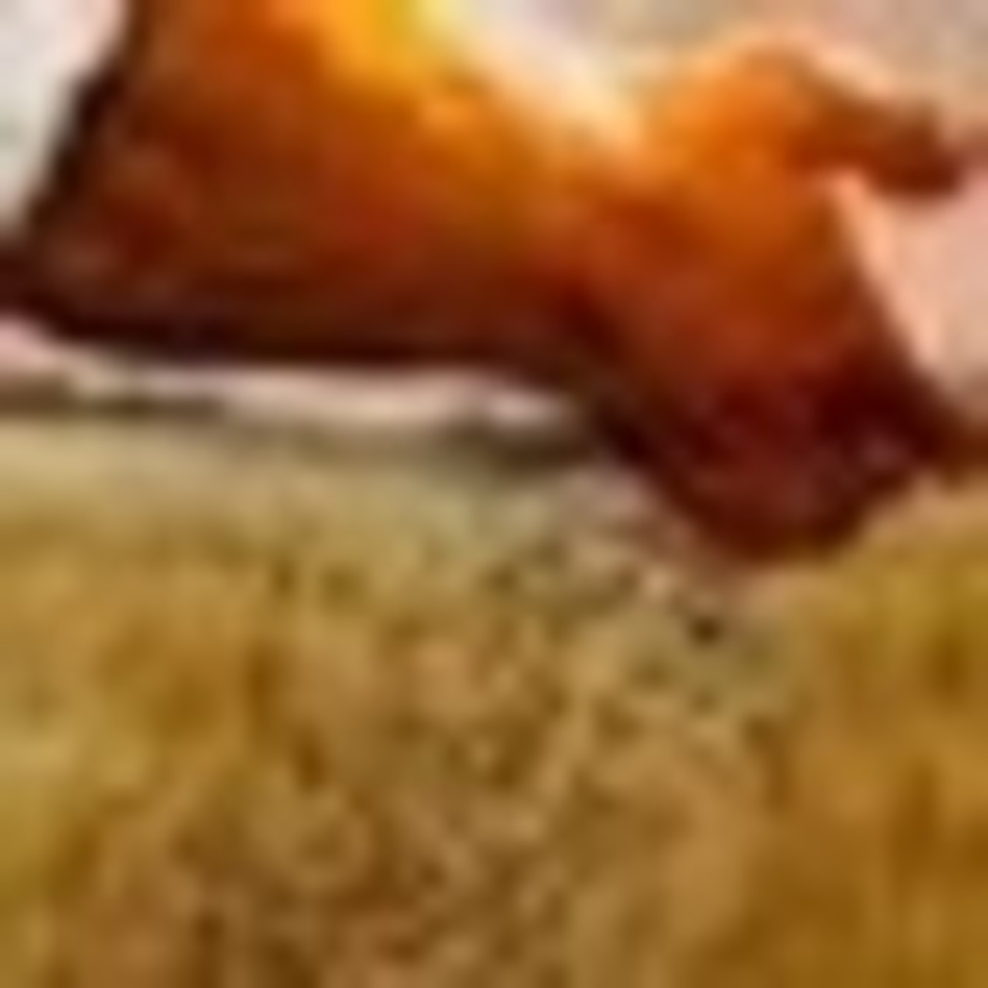 Palabra y Vida: Radio María Oficial