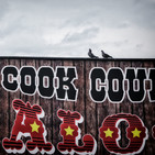 Love that country music 349