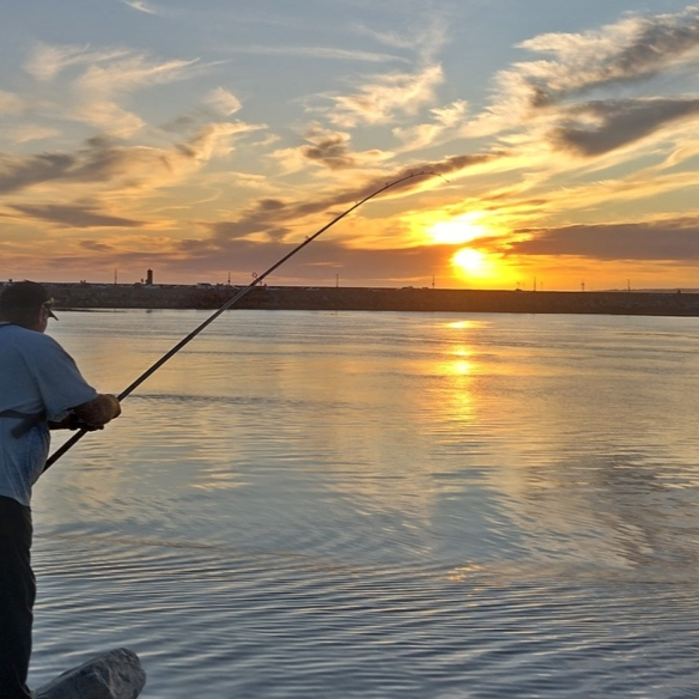 Planeta Pesca